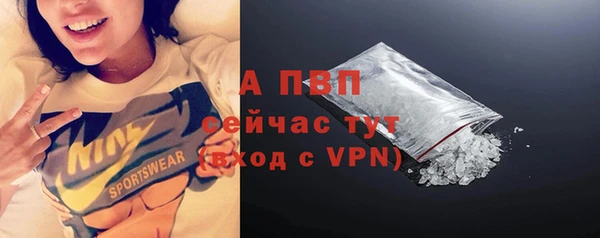 МДПВ Вяземский