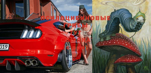 хмурый Вязьма