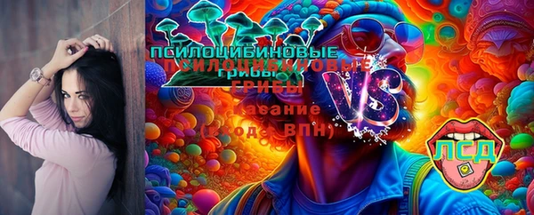 хмурый Вязьма