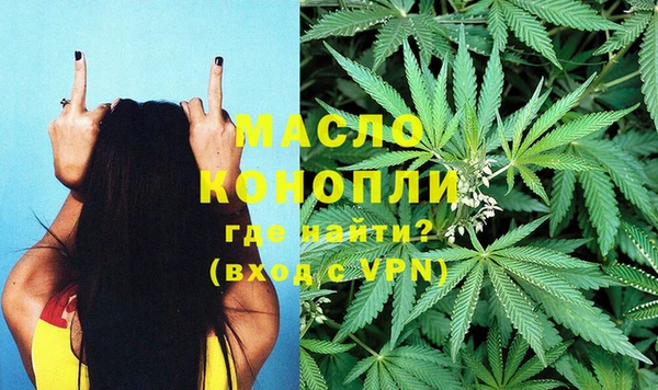 МДПВ Вяземский