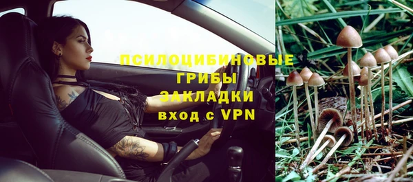 хмурый Вязьма