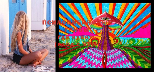 PSILOCYBIN Верхний Тагил