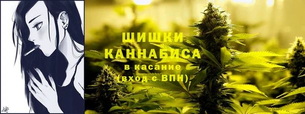 хмурый Вязьма