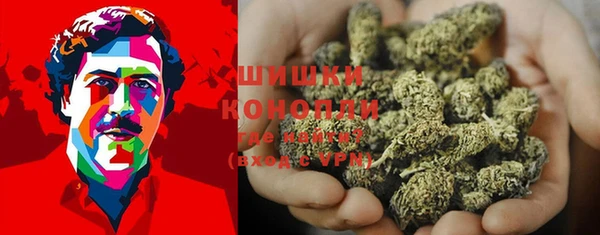 МДПВ Вяземский
